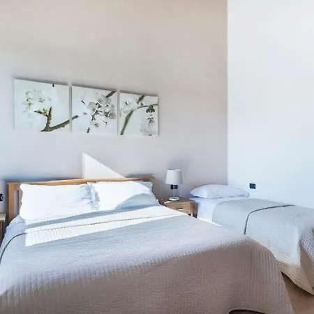 Ai Carpini * ماركون