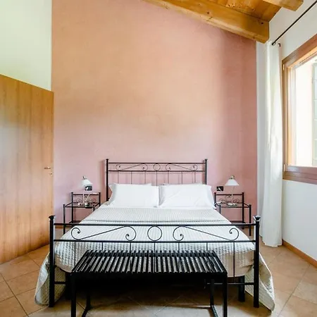 Ai Carpini ماركون