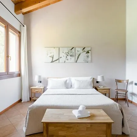 Ai Carpini ماركون