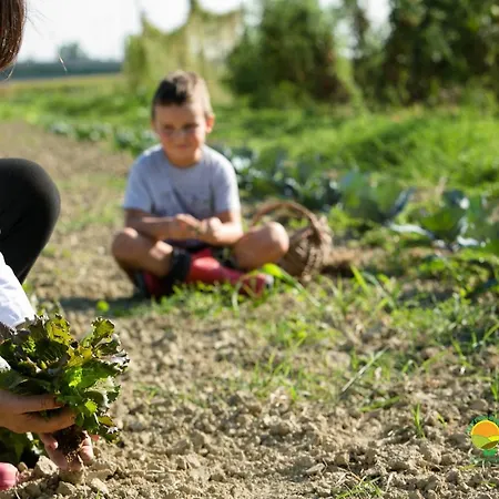 Farm stay Ai Carpini