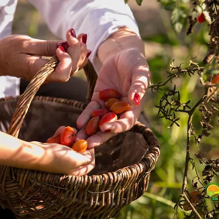 Ai Carpini Farm stay Marcon